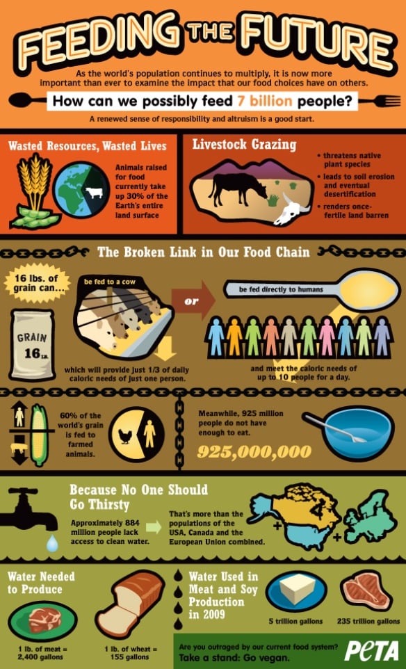 overpopulation-infographic_