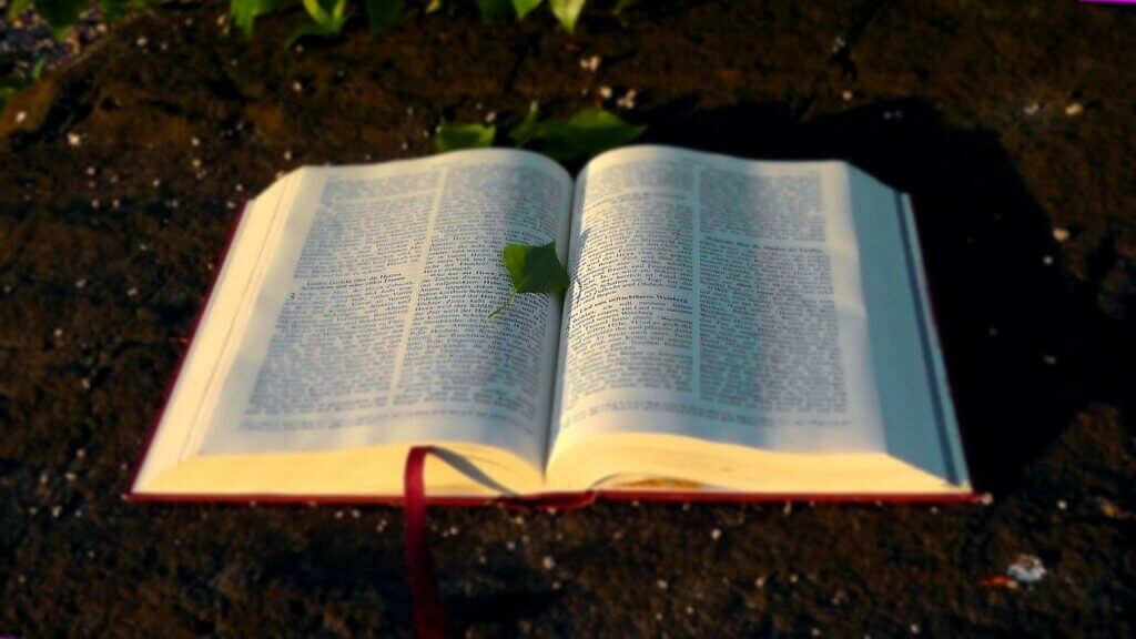 Bible with Green Leaf