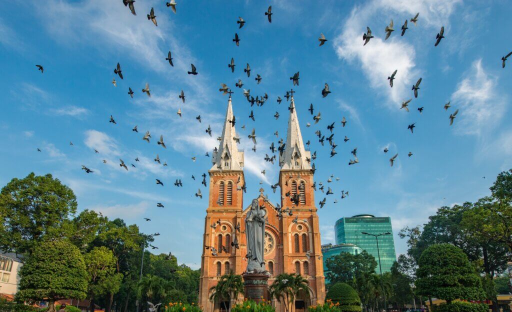 flock of birds at church