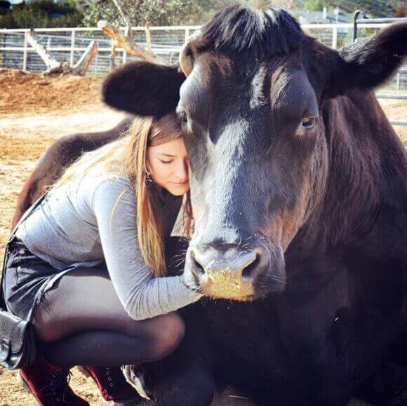 woman hugging cow