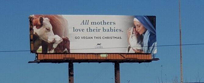 PETA LAMBS billboard about mother-child bond: All mothers love their babies