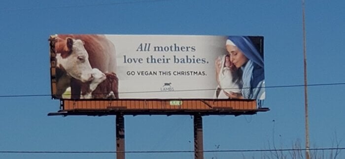 PETA LAMBS billboard about mother-child bond: All mothers love their babies