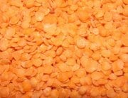 close up of red lentils
