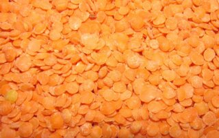 close up of red lentils