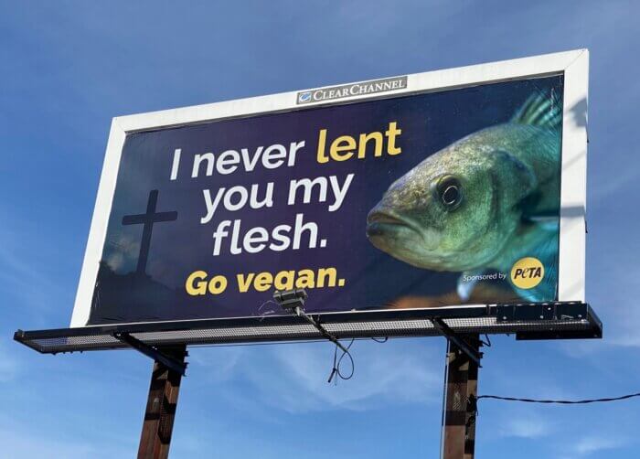 Respect All Animals—Including Fish—This Lent | PETA LAMBS