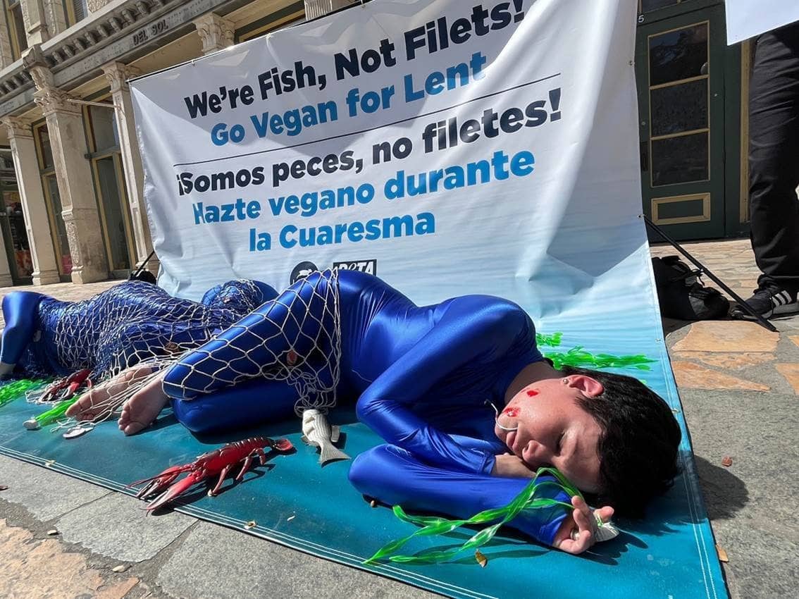 woman dressed in blue fish outfit pretending to be dead with sign behind her saying "We're fish not filets"