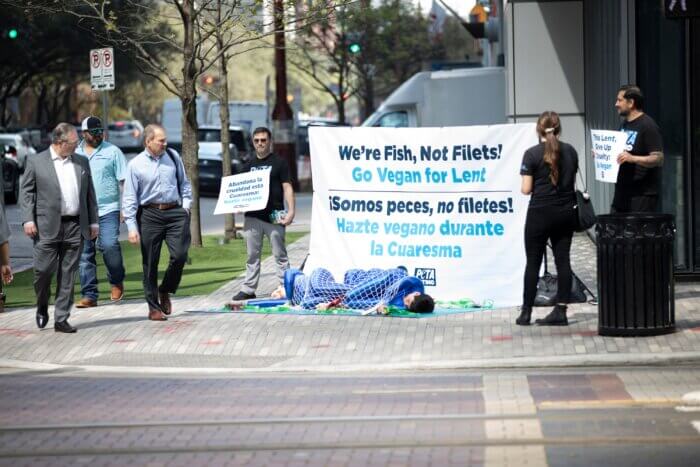 activists dressed as dead fish lying on corner of busy urban street