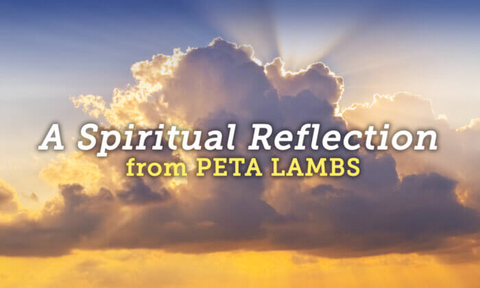 large white cloud in the heavens with sunlight shining through and the words A SPIRITUAL REFLECTION from PETA LAMBS