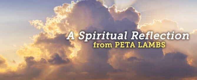 Large white cloud in the sky with light glowing behind and wording A SPIRITUAL REFLECTION from PETA LAMBS