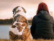 Woman sits next to her dog watching the sunset