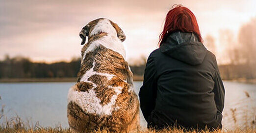 Woman sits next to her dog watching the sunset