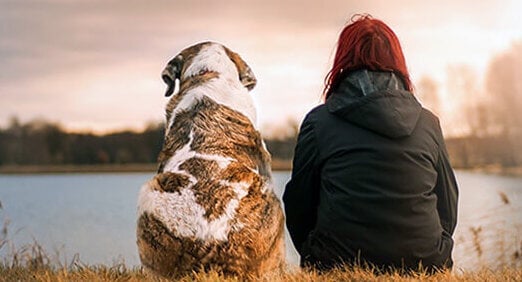 Woman sits next to her dog watching the sunset