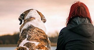 Woman sits next to her dog watching the sunset