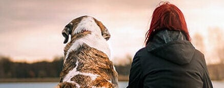 Woman sits next to her dog watching the sunset