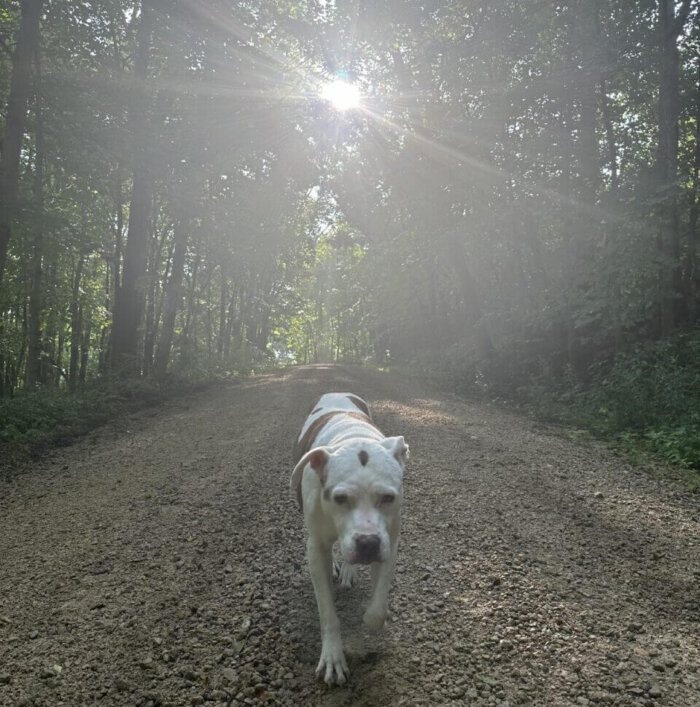Lulu Karpel walking on trail
