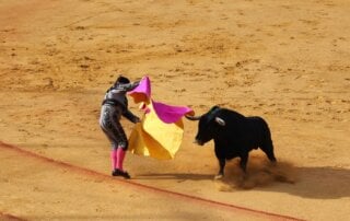 Bullfighting image